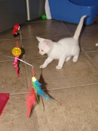 20100206 414.JPG